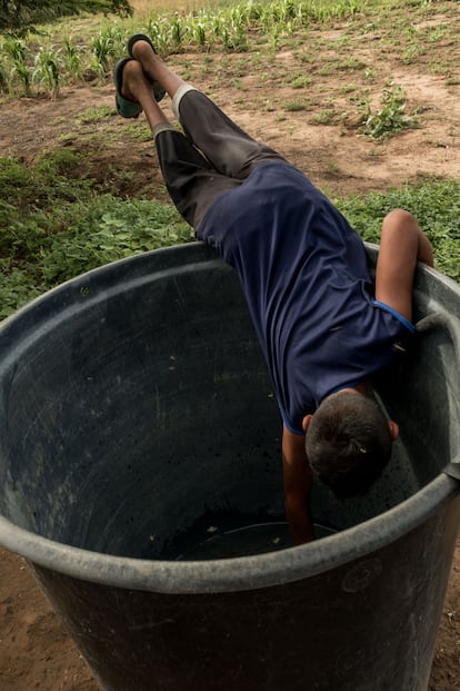 Pese al ecosistema predominantemente desértico, la Guajira tiene tierras fértiles. Sin embargo, las huertas cultivadas por los wayúu no habían tenido hasta ahora suficiente agua para ser productivas, y sus frutos no daban más que para cubrir las necesidades familiares. Un sistema de distribución que se encuentra en fase de prueba en el municipio de Manaure está revolucionado las rancherías, pequeños núcleos de población formados por varias familias. En poco tiempo, ha logrado doblar las horas de riego, consiguiendo varias cosechas al año, lo que supone que los hogares a cuyas huertas llega el agua pueden vender sus productos en el mercado y conseguir alimentos, especialmente proteínas, para la familia.