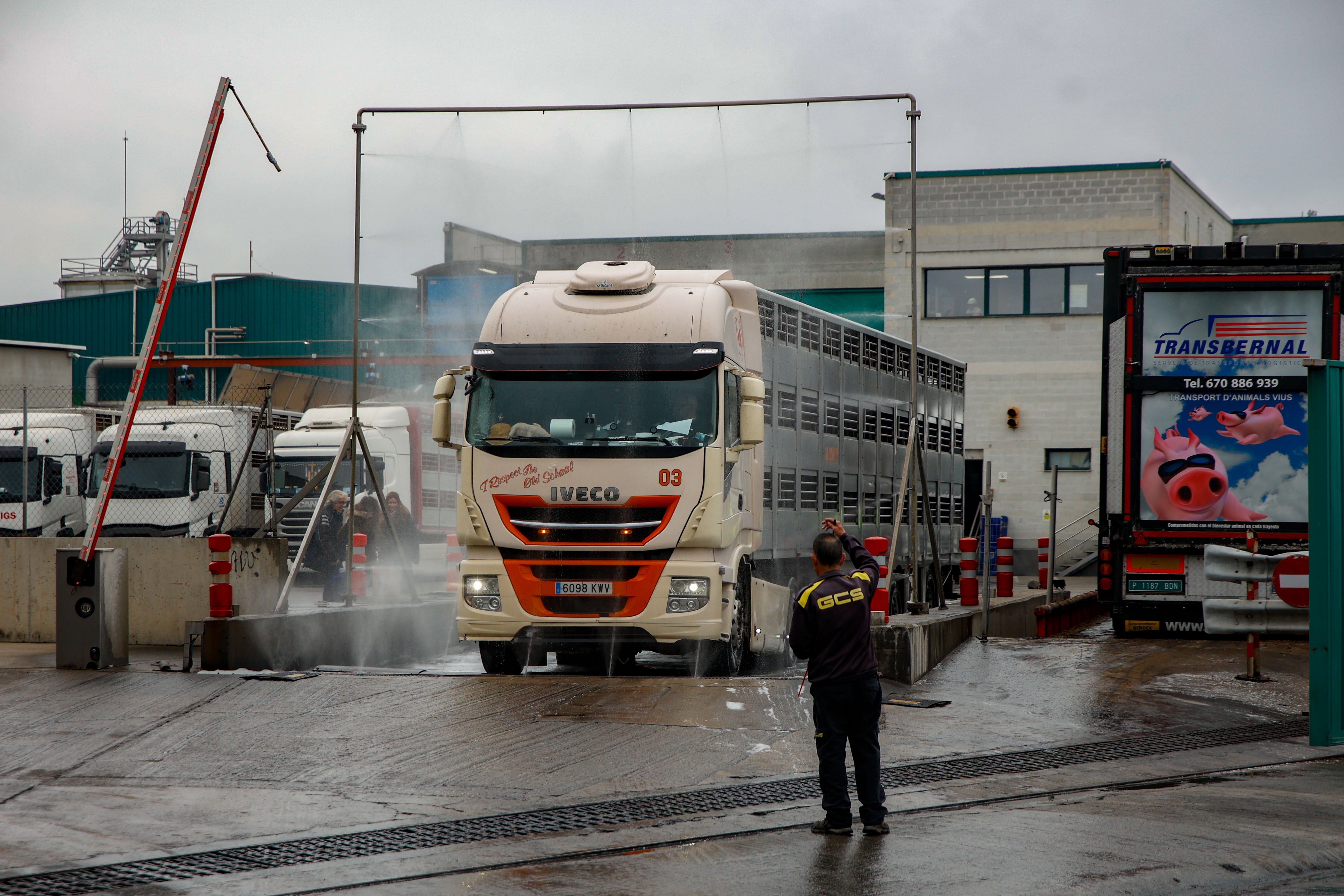 Camiones cargados de cerdos a la entrada del matadero del Grupo Jorge, en Santa Eugenia de Berga, Vic, Barcelona, el 4 de diciembre de 2025.