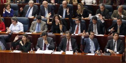 La bancada del PP, durante una votación en la Asamblea de Madrid.