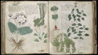 Imágenes del 'Códice Voynich'.