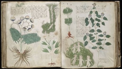 Imagens do 'Códice Voynich'.