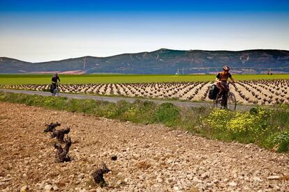 Dos ciclistas atraviesan un campo de viñedos en las inmediaciones de Las Tablas de Daimiel (Ciudad Real).