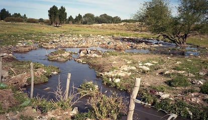 Humedal contaminado donde se juntan las vertientes naturales del acuífero con el canal artificial al norte de Zapala. 