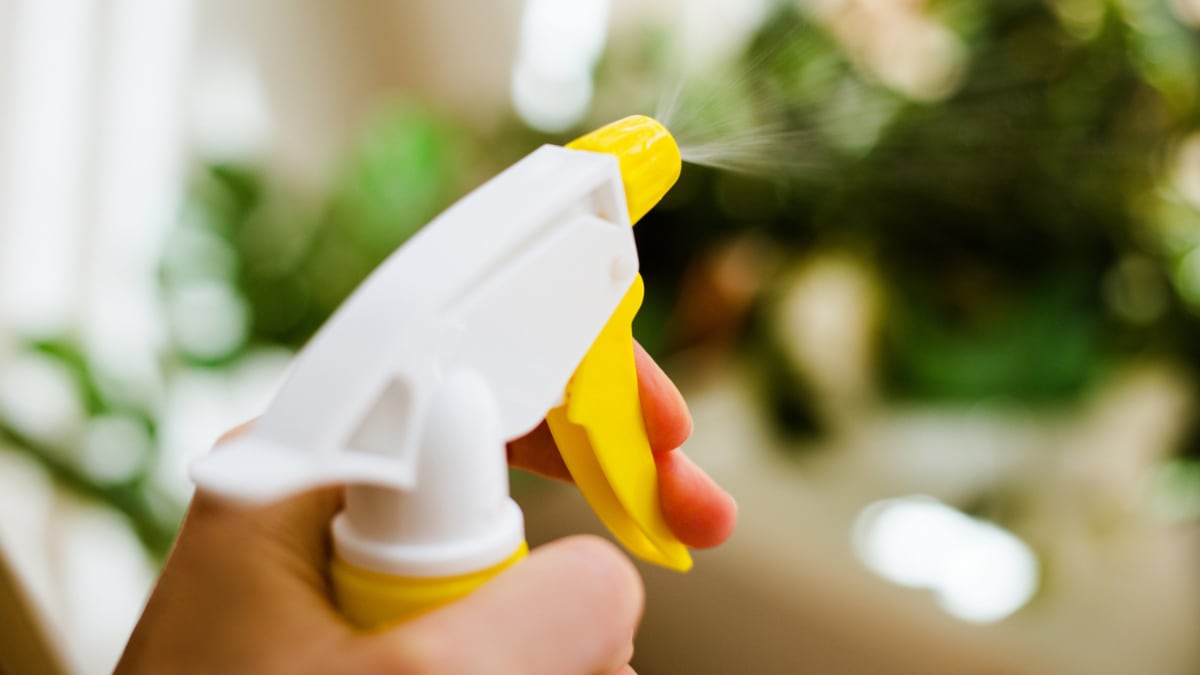 Este espray es muy eficaz contra las avispas. GETTY IMAGES.