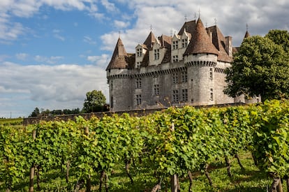 Viñedos del Châteax de Monbazillac, donde se elaboran afamados vinos dulces. 