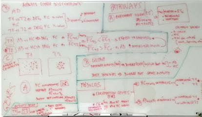 Pizarra del equipo de Sensogenoma con hipótesis de trabajo.