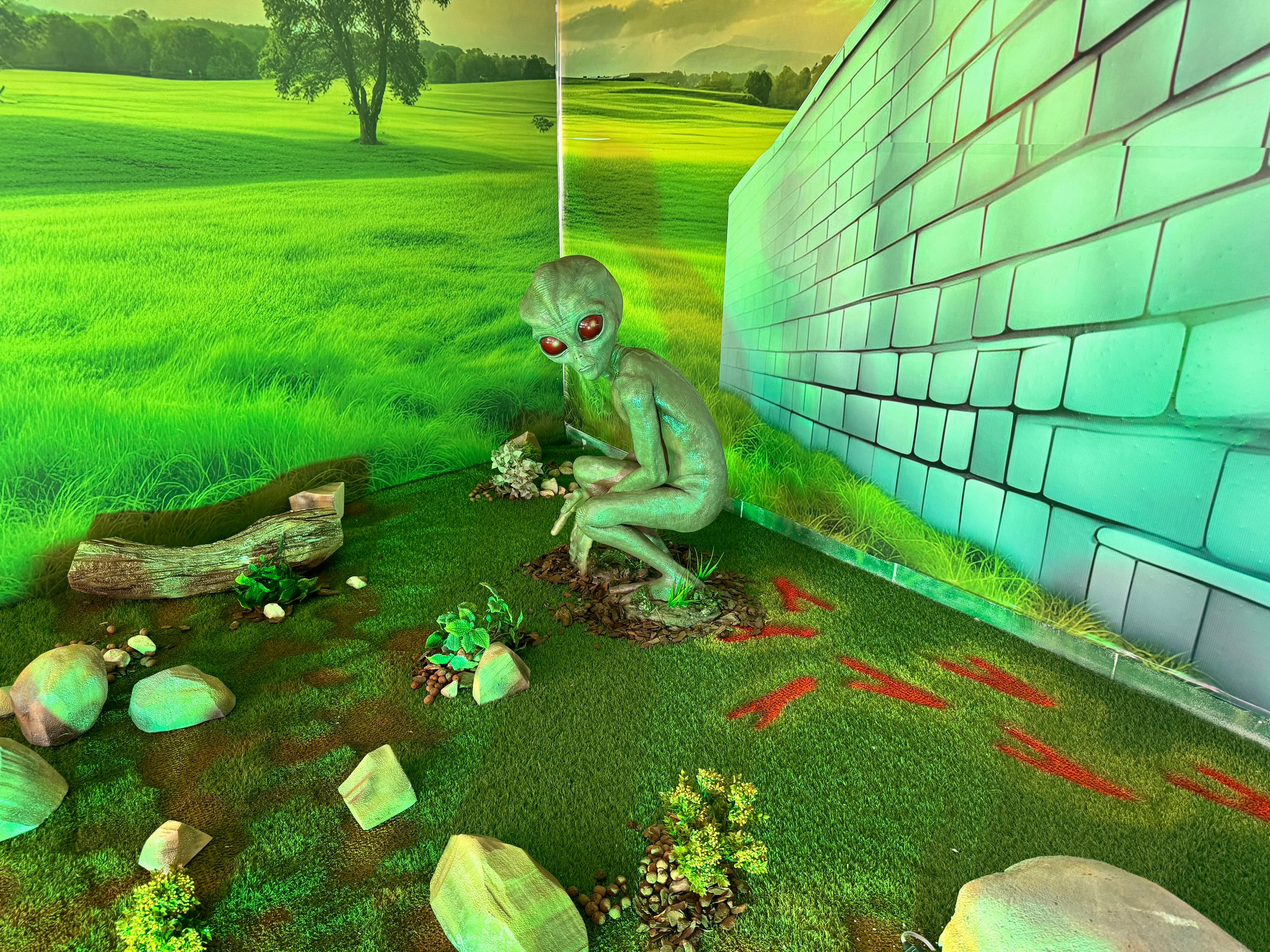 El ‘ET de Varginha’: el alienígena que cautiva a Brasil 30 años después de un avistamiento descartado por la investigación oficial