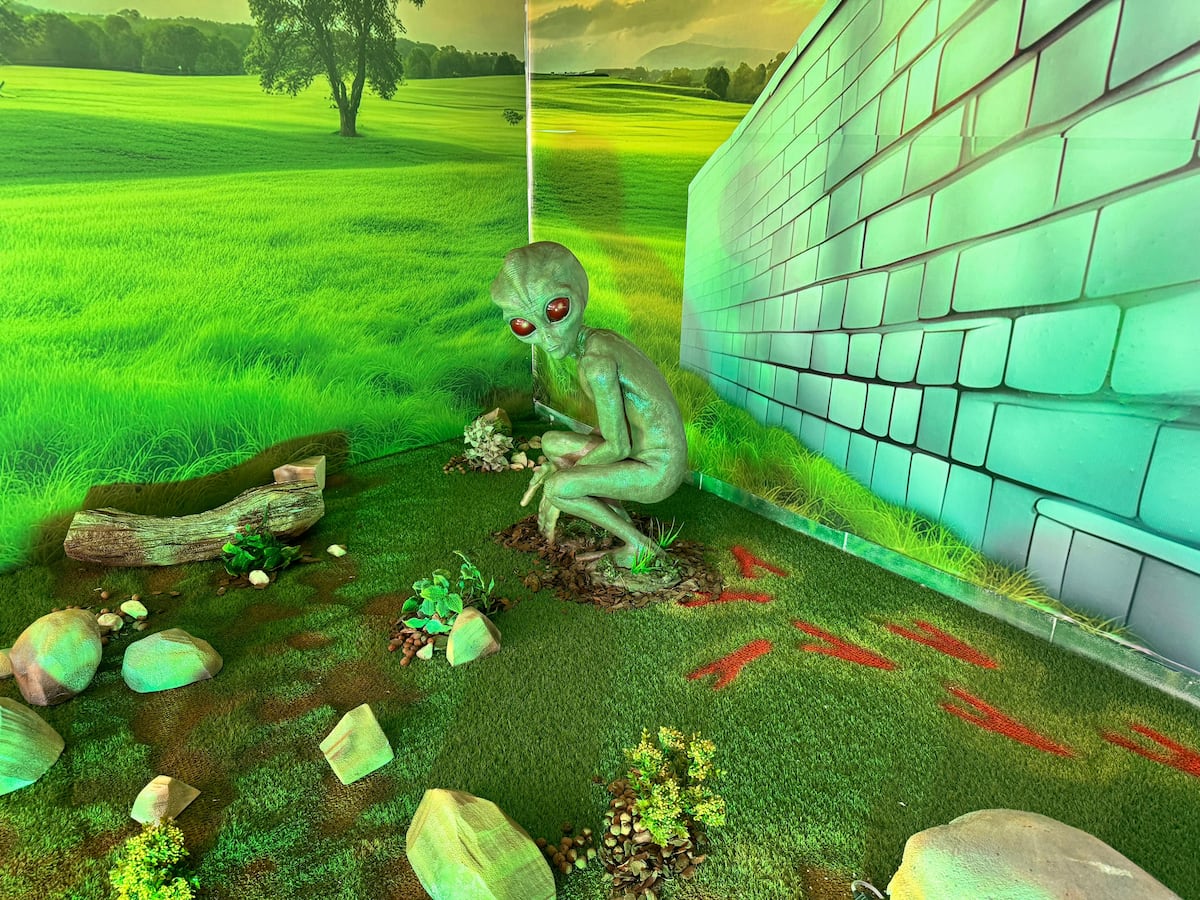 The ‘ET of Varginha’ captivates Brazil 30 years after sighting dismissed by a military investigation