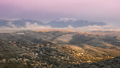 Panorámica de los bosque de Orrius, en la comarca barcelonesa del Maresme.