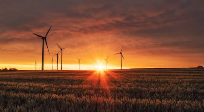 Molinos de viento en una zona rural.