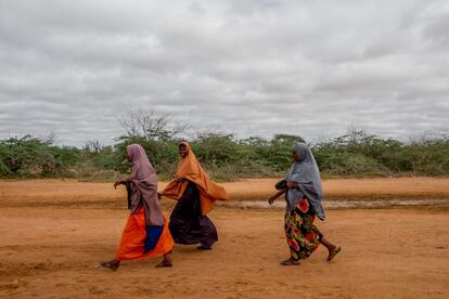 Daadab no es un lugar muy acogedor para vivir. Situado en medio de un estéril y abrasador desierto, apenas brotan algunos matorrales durante la época de lluvias. En la imagen, unas mujeres caminan por el campo de IFO1.