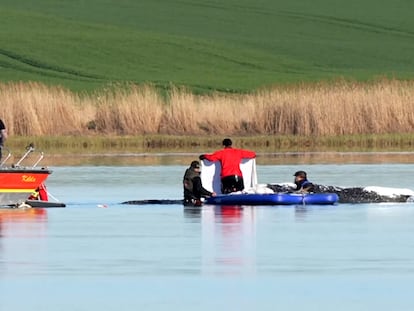La operación para transportar a la ballena jorobada Timmy del Báltico al mar del Norte