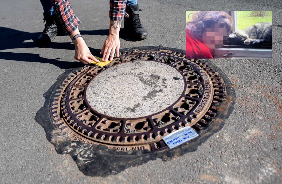 Missing child in Germany: German boy found alive after surviving eight ...
