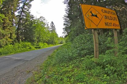 Cartel advirtiendo de la existencia de fauna salvaje en el bosque que rodea la carretera.