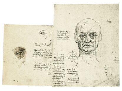 Estudios de proporciones de la cara y del ojo con anotaciones.