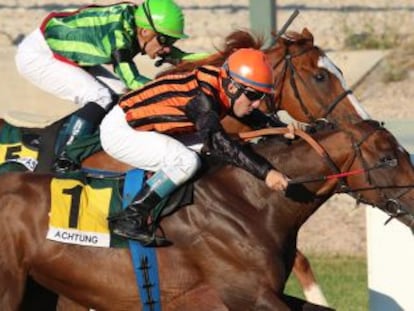 El purasangre &#039;Achtung&#039; vence en la carrera del domingo pasado en el hip&oacute;dromo de La Zarzuela. 