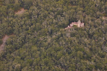 Santo Estevo puede iniciar una ruta particular dentro de la Ribeira Sacra dedicada a sus monasterios románicos. Como el de San Pedro de Rocas y su icónica espadaña levantada sobre un monolito de piedra, o el de Santa Cristina de Ribas de Sil (en la foto). Semioculto en la espesura de un 'souto' de castaños, y abandonado tras la desamortización, este cenobio de gran relevancia local en la Edad Media invita a regodearse —si tenemos suerte con el inevitable trasiego turista— en el silencio que envuelve las arcadas de su claustro (del que solo se conservan dos alas). También a deambular sin prisa por sus estancias, y a detenerse ante los murales renacentistas que decoran el ábside central de su iglesia. Más información: <a href="https://www.paradadesil.es/index.php/es/" target="">paradadesil.es</a>