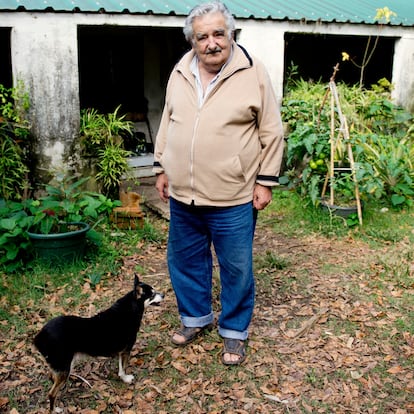 Uruguay's President Jose Mujica poses for a photo with his dog, Manuela, at his home on the outskirts of Montevideo, Uruguay, Friday, May 2, 2014. Mujica says the country's legal marijuana market will be much less permissive with drug users. We dont go along with the idea that marijuana is benign, poetic and surrounded by virtues. No addiction is good, he said. In an exclusive Associated Press interview just before releasing his countrys long-awaited marijuana rules, the former leftist guerrilla predicted that many will call him an old reactionary once they see the fine print. (AP Photo/Matilde Campodonico)