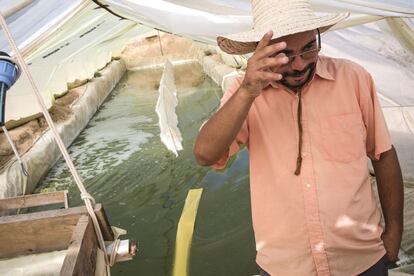 Hichem Chetaoui en una pequeña explotación para producir espirulina, un producto con amplias propiedades nutritivas y medicinales elaborado a partir de un alga, en Wedhref (Túnez).