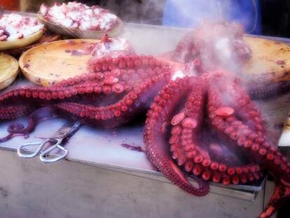 Vida en Costa da Morte