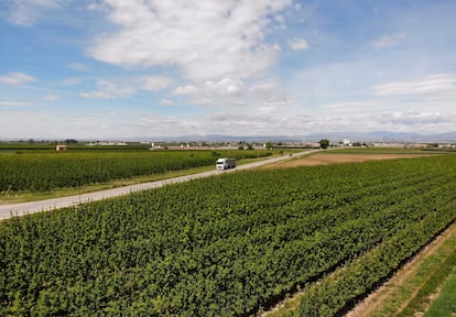 Los campos empiezan a secarse en Linyola (Lleida).