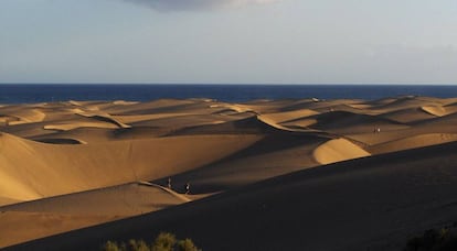 Dunas costeras en Maspalomas.