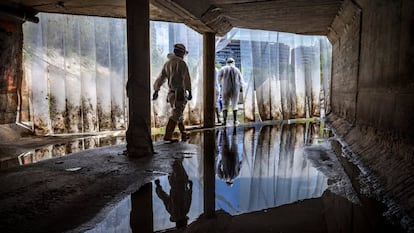 Técnicos recogen muestras de aguas fecales en el colector norte de la ciudad de Valencia