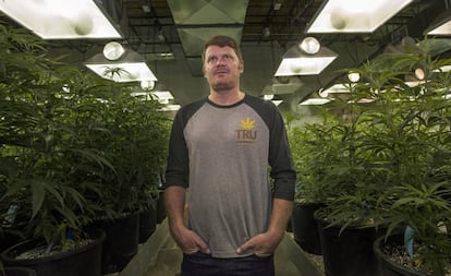 Floyd Landis, exciclista productor legal de marihuana y del 'podcast' 'Straight Dope'.