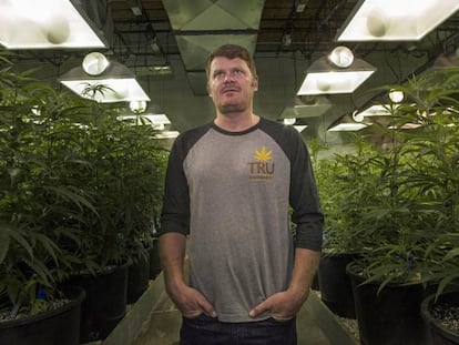 Floyd Landis, exciclista productor legal de marihuana y del 'podcast' 'Straight Dope'.