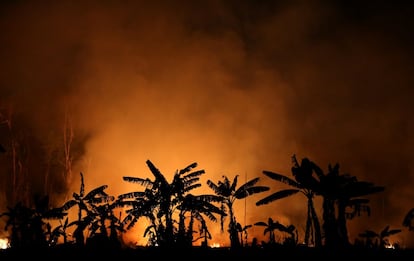 Un incendio quema un tramo de selva amazónica cerca de Porto Velho (Brasil), el 9 de septiembre de 2019. “El Amazonas, especialmente el sur del estado, es una de las nuevas fronteras de la deforestación. Hace diez años, la práctica de las quemadas no era tan activa", explica la directora del Instituto de Investigación Medioambiental sobre la Amazonia (IPAM), Ane Alencar, y agrega:  "Realmente, la región es una de las nuevas fronteras de expansión de los negocios agropecuarios”.