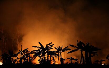 Un incendio quema un tramo de selva amazónica cerca de Porto Velho (Brasil), el 9 de septiembre de 2019. “El Amazonas, especialmente el sur del estado, es una de las nuevas fronteras de la deforestación. Hace diez años, la práctica de las quemadas no era tan activa", explica la directora del Instituto de Investigación Medioambiental sobre la Amazonia (IPAM), Ane Alencar, y agrega:  "Realmente, la región es una de las nuevas fronteras de expansión de los negocios agropecuarios”.