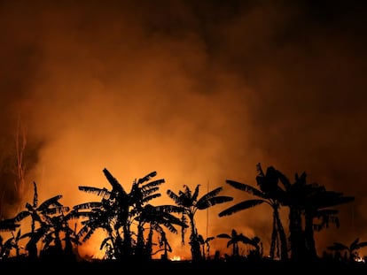 Un incendio quema un tramo de selva amazónica cerca de Porto Velho, en Brasil.