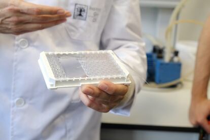 Un investigador del Instituto de la Grasa del CSIC.