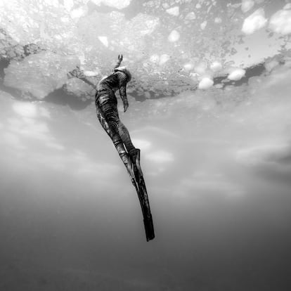 Futaki disfrutando de la belleza de los paisajes submarinos bajo un techo de nubes heladas.