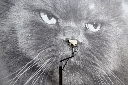 Un cámara de circuito cerrado de televisión delante de un cartel gigante de un gato en una calle de Londres, Reino Unido.