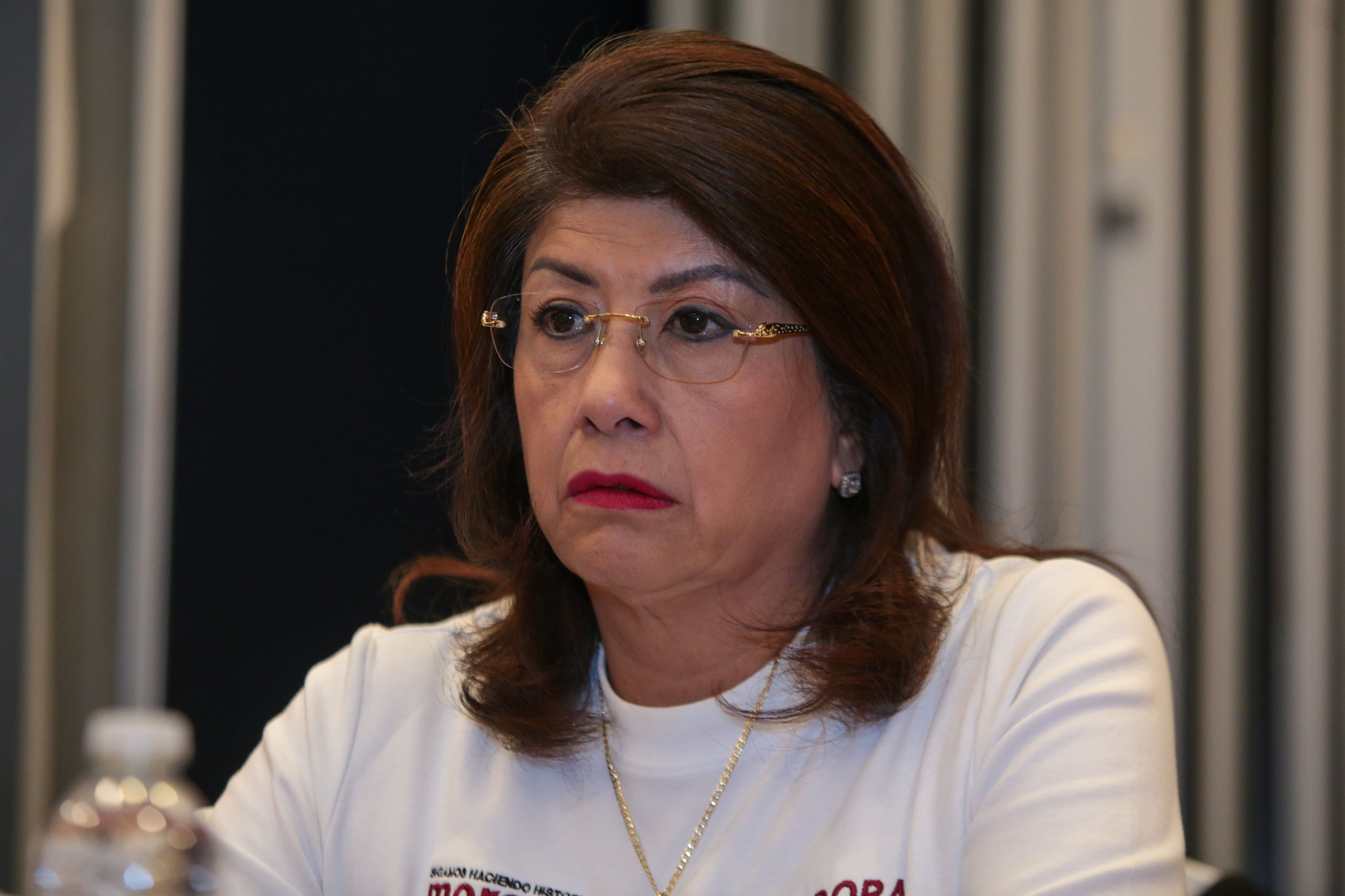 Polémica por el sacrificio de 10.000 perros callejeros en un municipio del Estado de México
