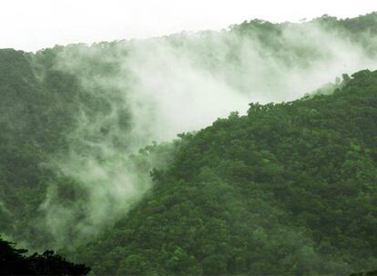 Parque Nacional de Los Quetzales