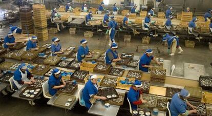 Trabajadoras en una fábrica de Conservas Cortizo.