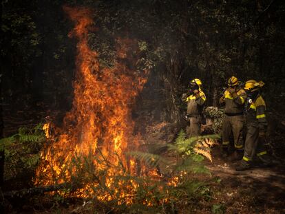 Unos bomberos trabajan en un incendio registrado en O Irixo (Ourense).