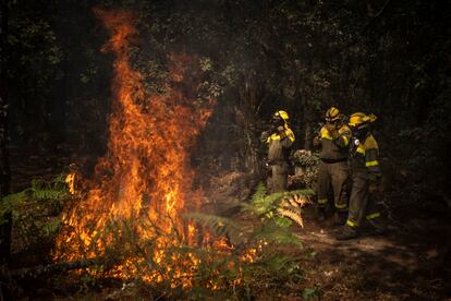 Incendios Valencia