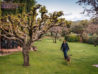 Terry y los demás perros de la Casa Grande