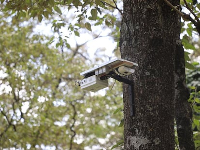 Un detalle del dispositivo de M-Situ instalado en un árbol del bosque de Ngong. Imagen cedida por M-Situ