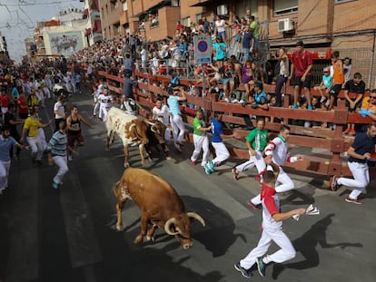 Unos mozos corren delante los toros en el primer encierro de San Sebasti&aacute;n de los Reyes.