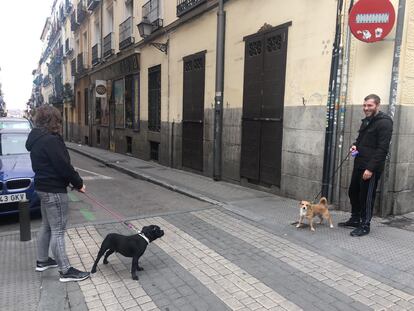 Trevo y Eva, con su perros, en Lavapiés.