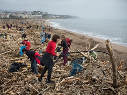 Voluntarios limpian la playa de Arenys de Mar (Barcelona) tras el paso del temporal Gloria en enero.