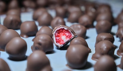 Frambuesas envenenadas Colombia