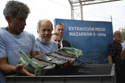 Dvd 1231 (13-09-24). Porción número cinco de la parte de la proa de la embarcación del pecio fenicio Mazarrón, este viernes, durante un momento de la presentación de los trabajos de extracción del barco fenicio que desde hace unos 2.600 años yace en el fondo del mar en la costa de Mazarrón (Murcia)