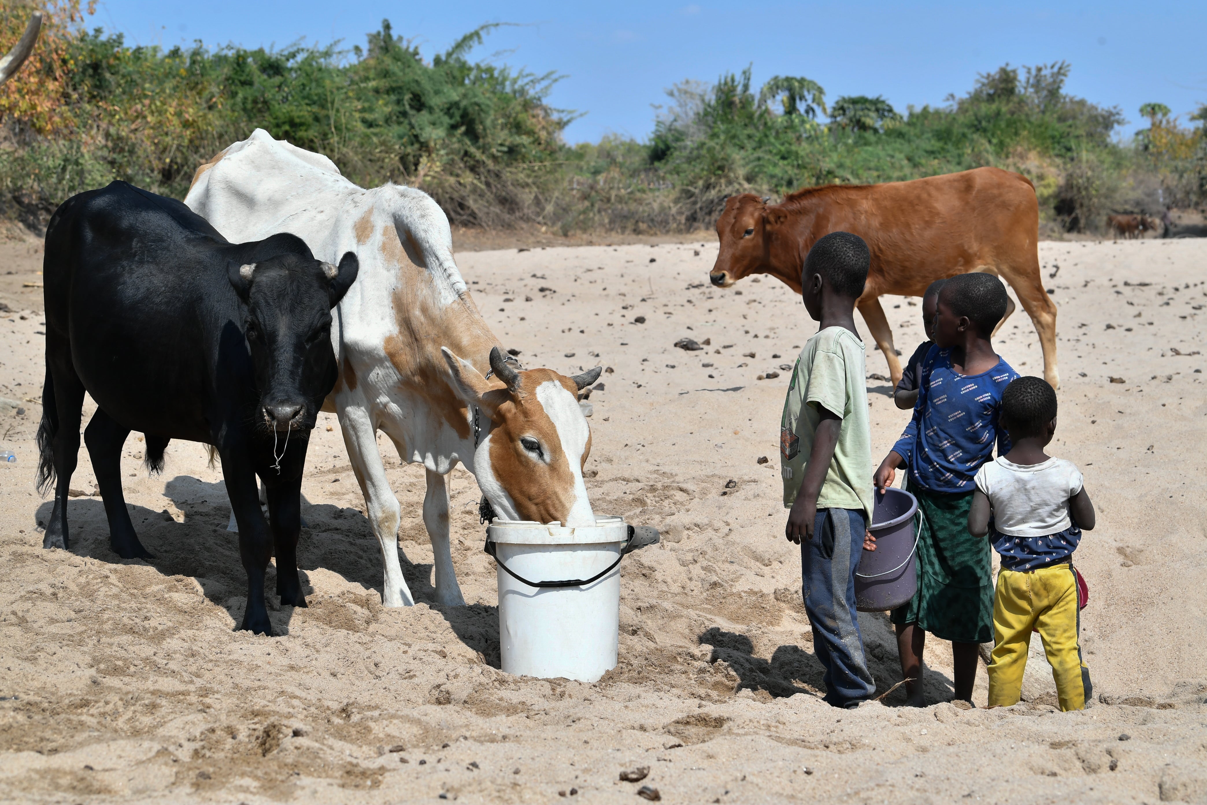 Más de la mitad de la población mundial no tiene acceso a agua potable segura, según un estudio que duplica las cifras de la ONU 