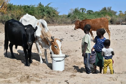 Estudio Science población sin agua potable