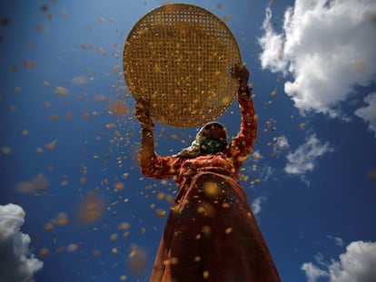 Una mujer nepalí separando el arroz de su cubierta.